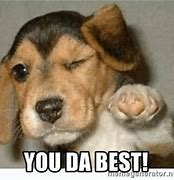 Image result for You're the Best Animal Meme