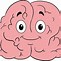 Image result for Human Brain Drawing for Kids