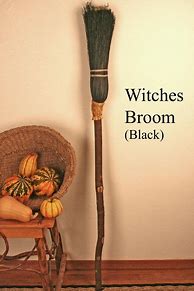 Image result for Dual Witches Broom