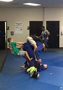 Image result for Jiu Jitsu Gym Program