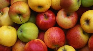 Image result for Top Apple Varieties