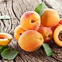 Image result for Dehydrating Apricots