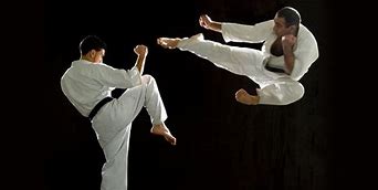 Image result for Kyokushin Karate Ibaraki Kicks