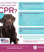 Image result for Dog CPR Graphic