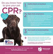 Image result for CPR Emergency Drugs and Doses for Animals