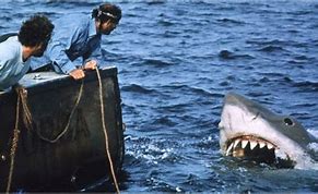 Image result for Jaws Memes Funny