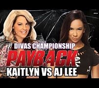 Image result for AJ Lee vs Kaitlyn Pay Back