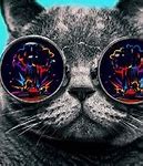 Image result for Trippy Cat Hi Res HD Wallpaper