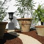Image result for Terracotta Plant Pots