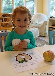Image result for Apple Math Activities for Preschool