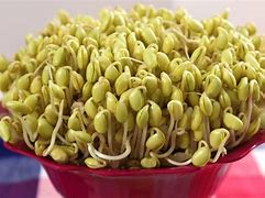 Image result for Dried Sprouts