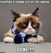 Image result for Grumpy Cat Winter