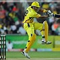 Image result for Cricket Stock Images. Free