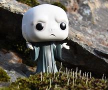 Image result for Lord Voldemort Funko POP