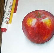 Image result for Realistic Apple Drawing