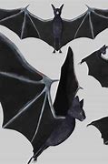 Image result for Bat 3D Print