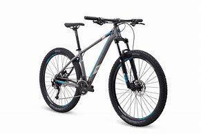 Image result for Sepeda MTB Polygon