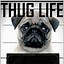 Image result for Type of Life Memes