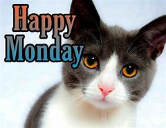 Image result for Cute Monday Quotes