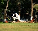 Image result for Cricket Games for PC