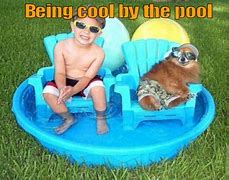 Image result for Keeping Cool Funny Animals