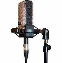 Image result for Cheap Ribbon Microphone