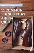 Image result for Objects That Are 14 Inches Long
