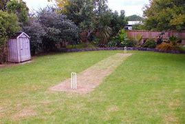 Image result for backyard cricket pitch