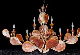 Image result for Chandelier Cactus