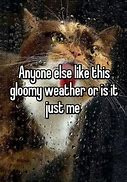 Image result for Gloomy Weather Meme