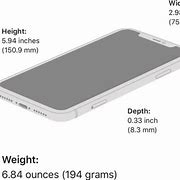 Image result for iPhone 11 Screen Size