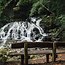 Image result for Roadside Waterfalls in Wales