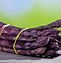 Image result for Weird Purple Things