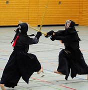 Image result for japan martial art style