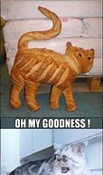 Image result for Bread Cat Flying Meme