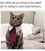 Image result for Funny Cat Memes About Work