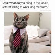 Image result for Awesome Work Cat Meme
