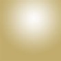 Image result for Light Gold Backdrop
