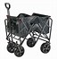Image result for Costco Beach Wagon Cart