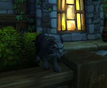Image result for WoW Cat Carrier