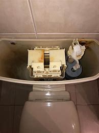 Image result for Caroma Toilet Flush Button