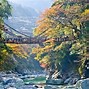 Image result for Japan Hiking