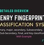 Image result for Henry Classification System
