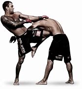 Image result for MMA PNG