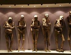 Image result for Mummy Found in Mexico