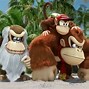 Image result for Diddy Dixie Kong Bramble