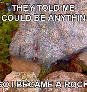 Image result for Peeta Rock Meme