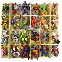 Image result for He-Man Action Figures