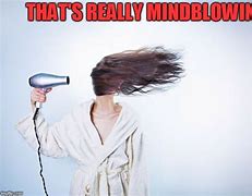 Image result for Hair Dryer Meme