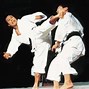Image result for Karate Fighting